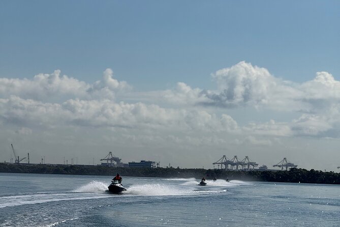 5 Hour Jetski Adventure from Brisbane to Moreton Bay Islands - Peel Island’s sandy bays and the wildlife you might catch a glimpse of