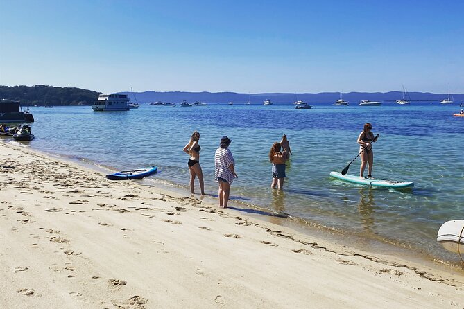Afternoon Moreton Bay Sailing Tour - Wildlife spotting without expecting a guarantee
