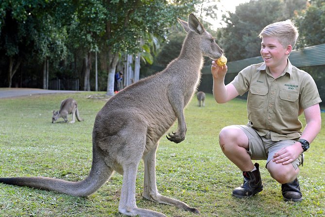 Australia Zoo Day Trip from Brisbane - Key points to know before you go