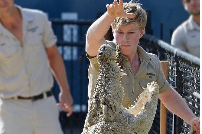 Australia Zoo Day Trip from Brisbane - A 5-hour Australia Zoo game plan that actually works