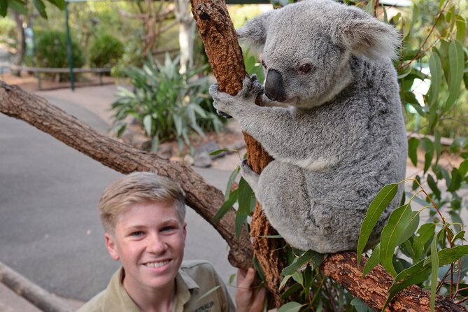 Australia Zoo Day Trip from Brisbane - Crocoseum shows, tigers, giraffes, and the animals to prioritize