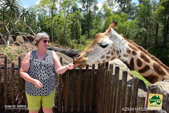 Australia Zoo Day Trip from Brisbane - The animal hospital stop: why it’s more meaningful than a quick photo break