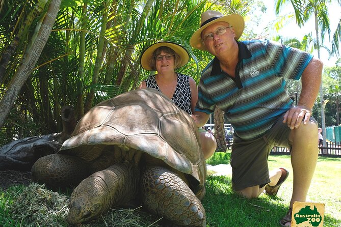 Australia Zoo Day Trip from Brisbane - Food isn’t included, so plan for the zoo rhythms
