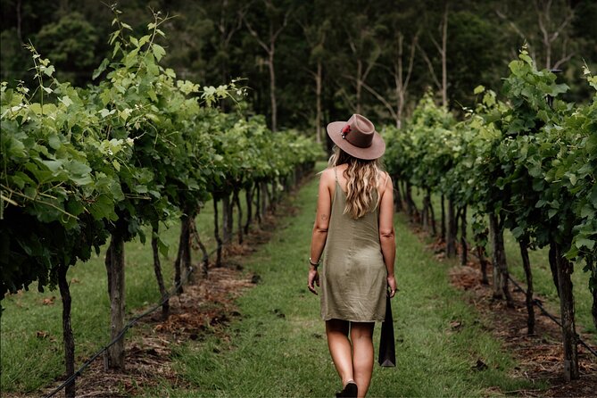 Barefoot Luxury Mount Tamborine Winery Tour from Brisbane - Key points before you go