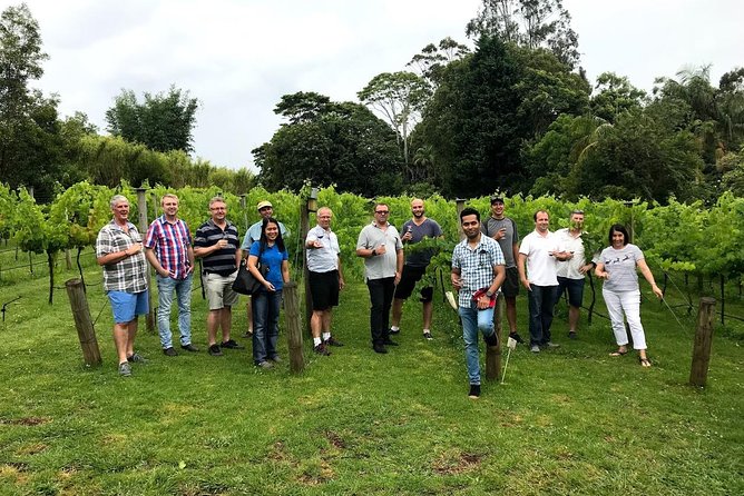 Barefoot Luxury Mount Tamborine Winery Tour from Brisbane - Brisbane to Mount Tamborine: the day’s logistics feel simple