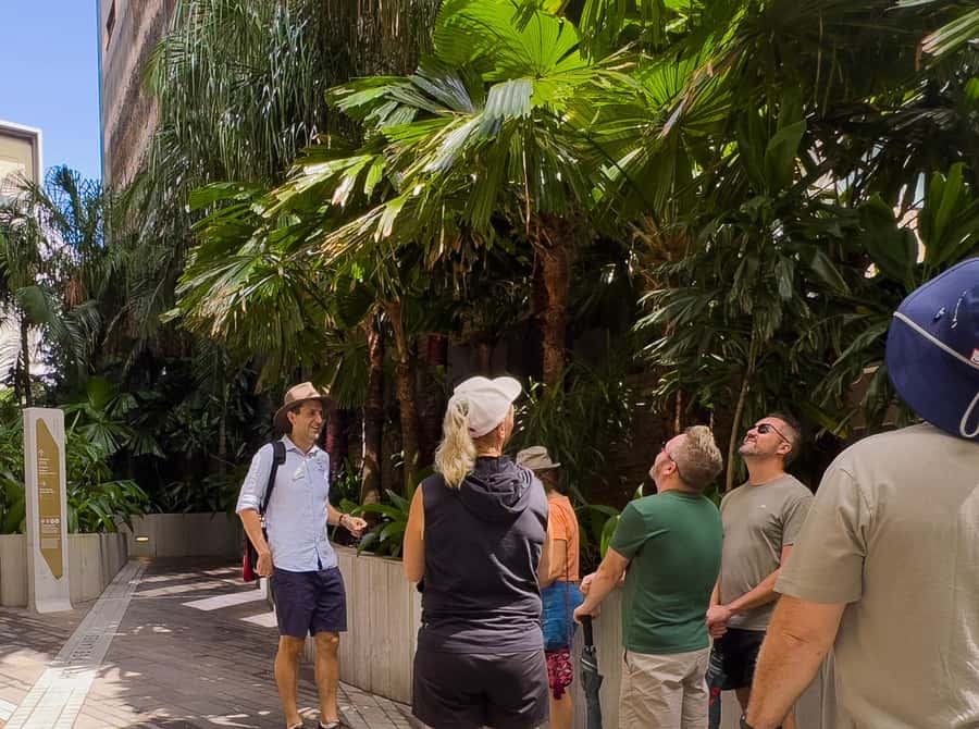Best of Brisbane Walking Tour | Small Group & snack - Anzac Square to Memorial Galleries: A City Learning How to Remember