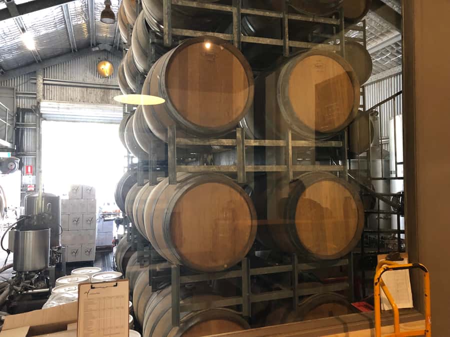 BNE - MtTamborine All Inclusive Tour with Lunch and Tastings - Witches Falls Winery: your first guided tasting (and a longer start)