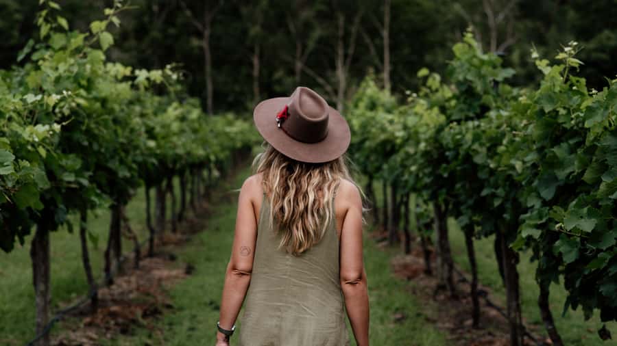 Brisbane: Boutique Winery Tour with Gourmet Lunch - Key highlights worth paying attention to
