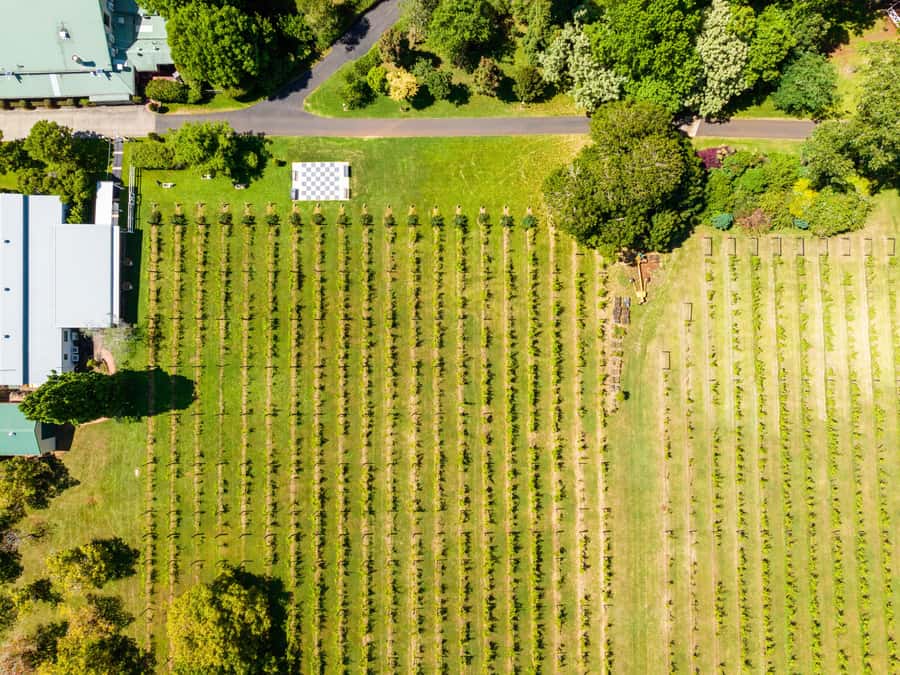 Brisbane: Boutique Winery Tour with Gourmet Lunch - Stop by stop: what you’ll likely do at each venue