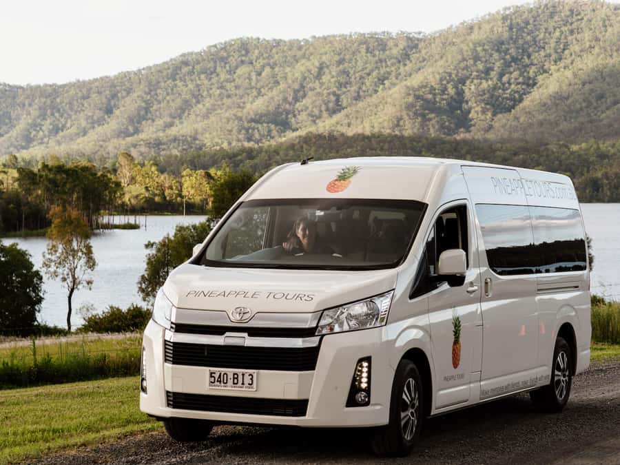 Brisbane: Boutique Winery Tour with Gourmet Lunch - Practical tips before you go