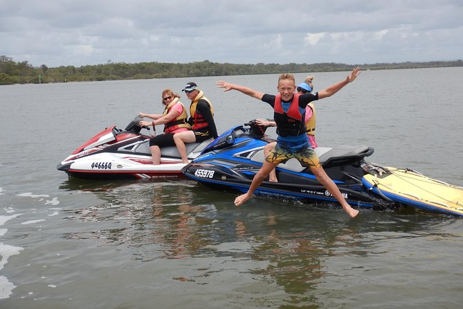 Brisbane Buccaneer - Wildlife Spotting: What You Might See (and How to Watch Without Crashing)