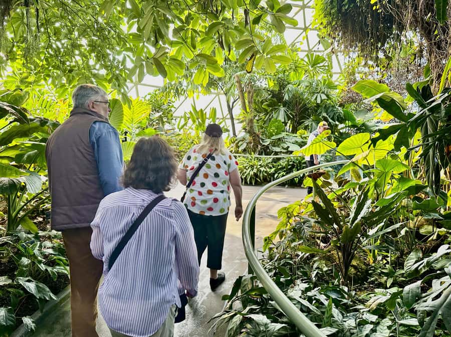Brisbane Bus Tour: City highlights | Small group | Snack - Mount Coot-tha is the smart opener for Brisbane highlights