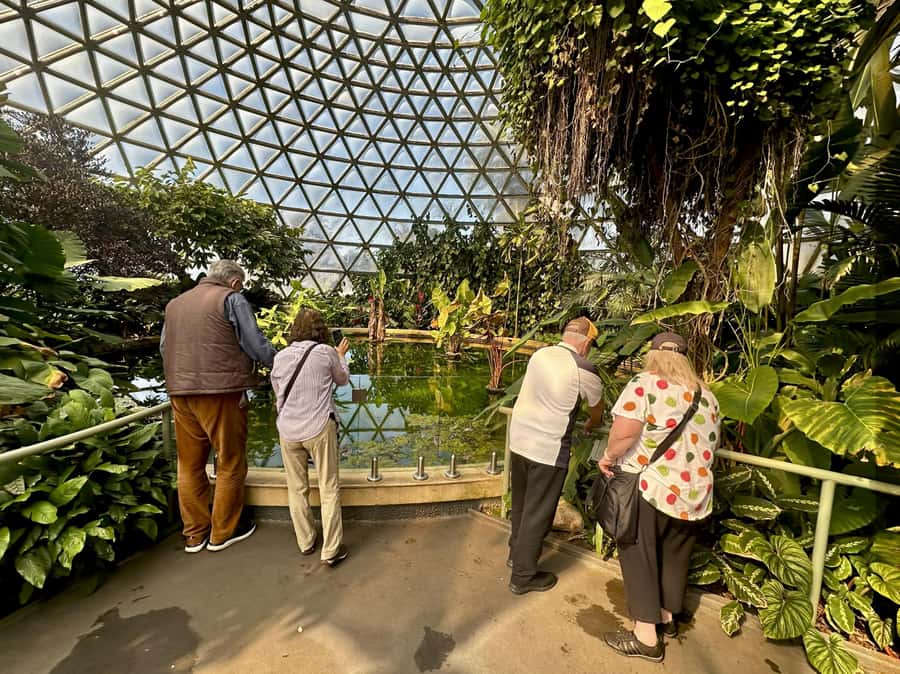 Brisbane Bus Tour: City highlights | Small group | Snack - Coffee, local snacks, and the best lookout time for photos