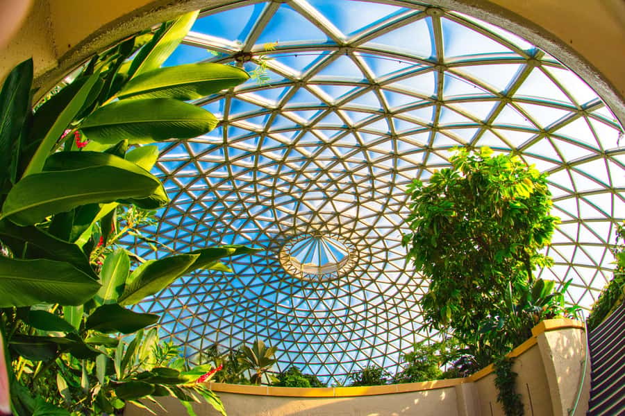 Brisbane Bus Tour: City highlights | Small group | Snack - Timing, what you’ll walk, and what to bring at 8.35am