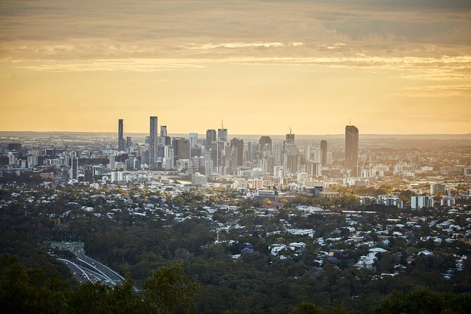 Brisbane Bus Tour: Max 10 people | Half Day | Morning tea inc. - Price and Timing: Does $85.35 Feel Like Value?