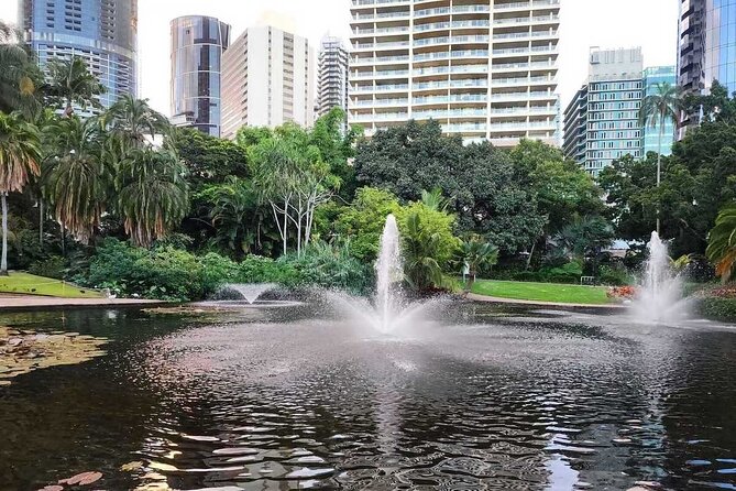 Brisbane Drive by Day - Private Tour - Price and Value at $104 Per Person