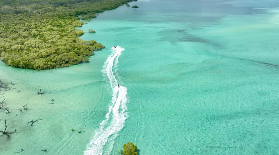 Brisbane: Half-Day Jetski Adventure to Moreton Bay Islands - The Gateway Bridge Start: Photos and Pure Motion