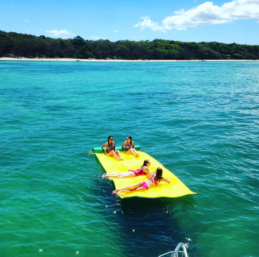 Brisbane: Half-Day Moreton Bay Sailing Cruise with Antipasto - Marine Wildlife in Moreton Bay Marine Park: What You Can Hope to Spot