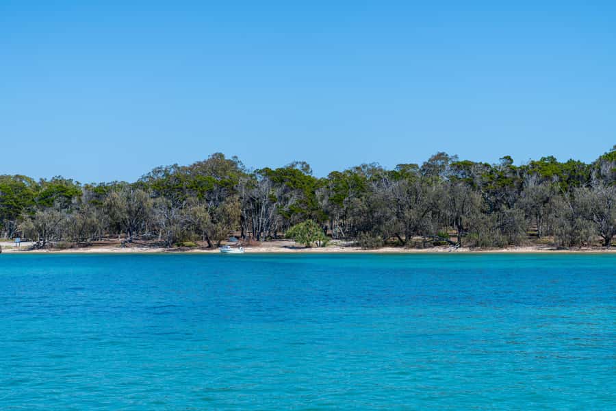 Brisbane: Half-Day Moreton Bay Sailing Cruise with Antipasto - Who Should Book This Moreton Bay Sailing Cruise?