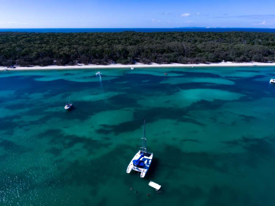 Brisbane: Half-Day Moreton Bay Sailing Cruise with Antipasto - 270 Minutes on a Luxury Catamaran: How the Sailing Tempo Usually Feels