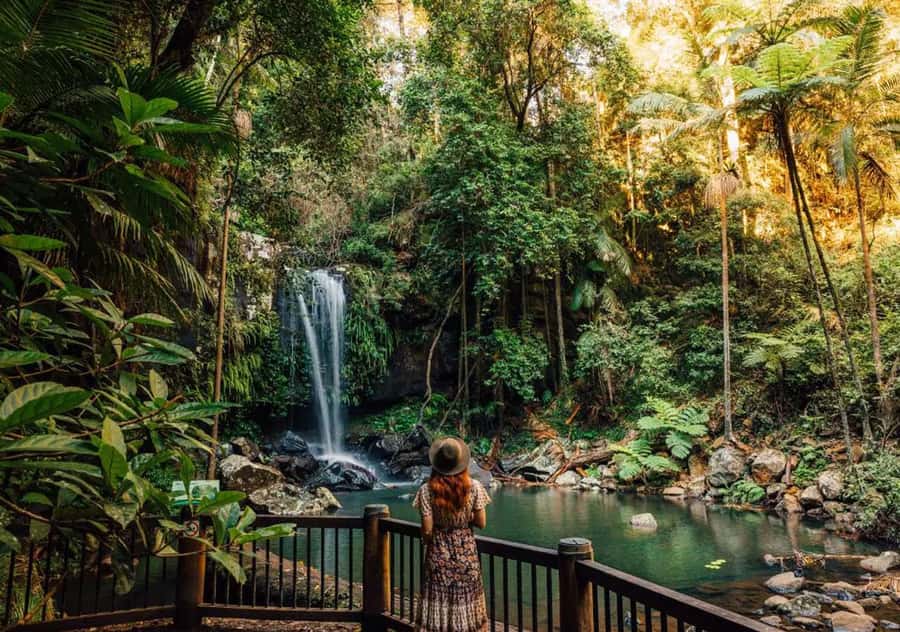 Brisbane: Hop on Hop off Bus to Tamborine Mountain - Picking Your Stops: Green Line vs Red Line