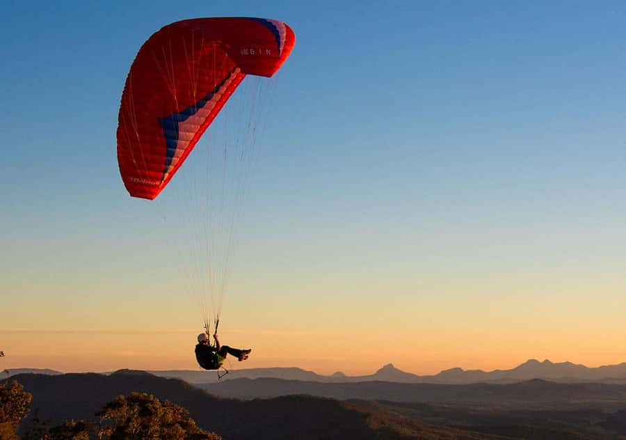 Brisbane: Hop on Hop off Bus to Tamborine Mountain - Nature Day Options: Skywalk, Falls, and Lookouts