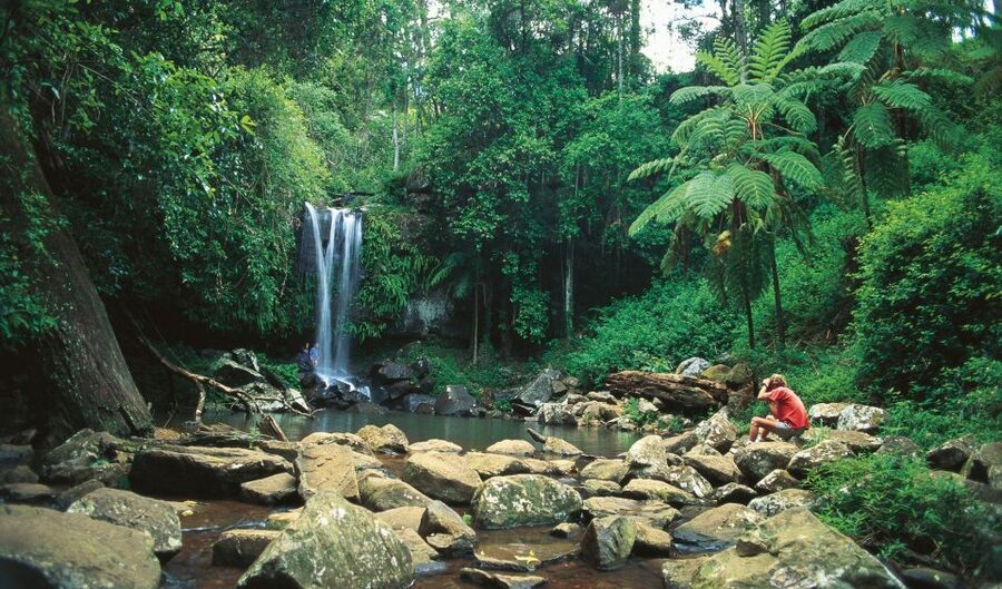 Brisbane: Hop on Hop off Bus to Tamborine Mountain - Wineries and Breweries: How to Plan Tastings Without Stress