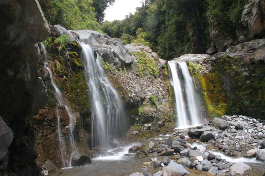 Brisbane: Hop on Hop off Bus to Tamborine Mountain - Timing and Getting Back: Brisbane Pickup and Late-Afternoon Return