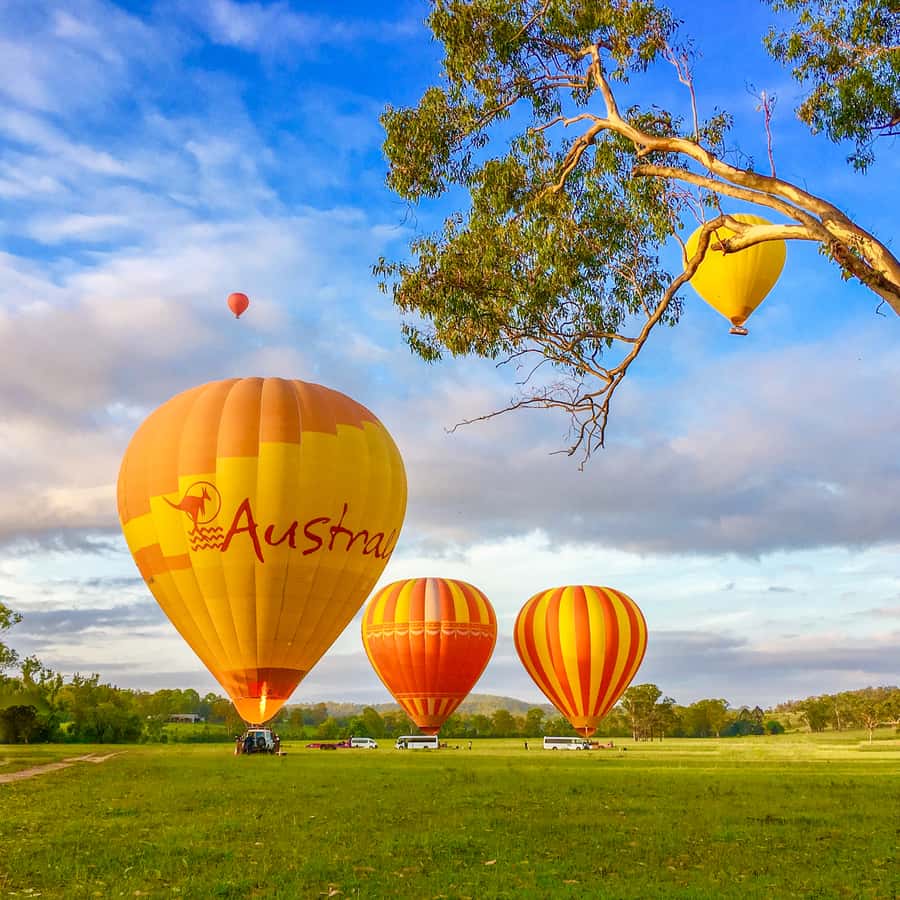 Brisbane: Hot Air Balloon Flight with Vineyard Breakfast - Should you book this tour?