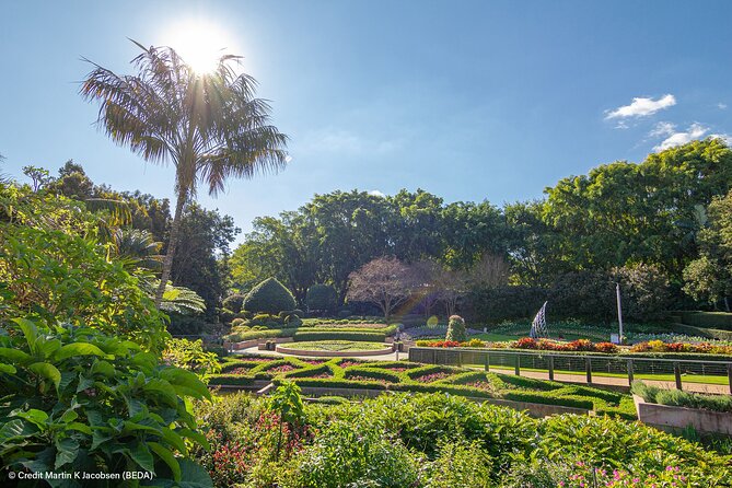 Brisbane Insights Tour - New Farm: from Turrbal roots to modern inner-city life