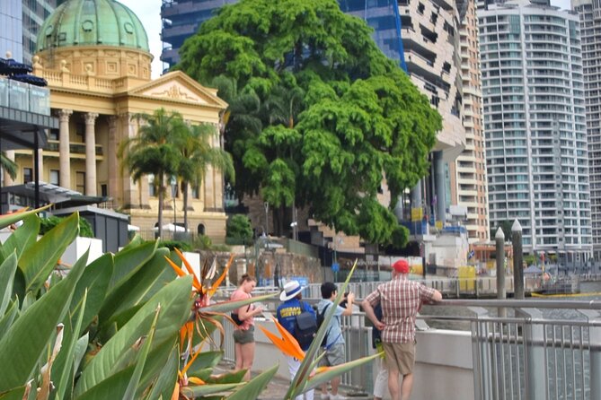 Brisbane Local Icons Tour - Drinks plan: wine or beer at each stop, cocktail to end