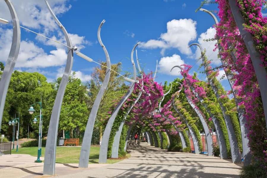 Brisbane: Private custom tour with a local guide - Brisbane on foot with a local: why this tour works