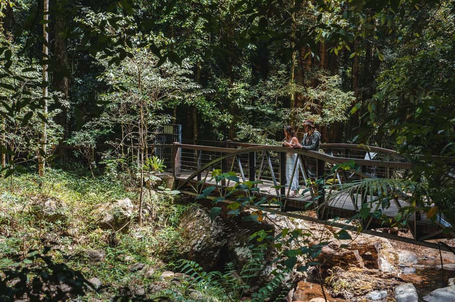 Brisbane: Rainforests, Waterfalls and Glow Worm Cave Tour - Key points before you go