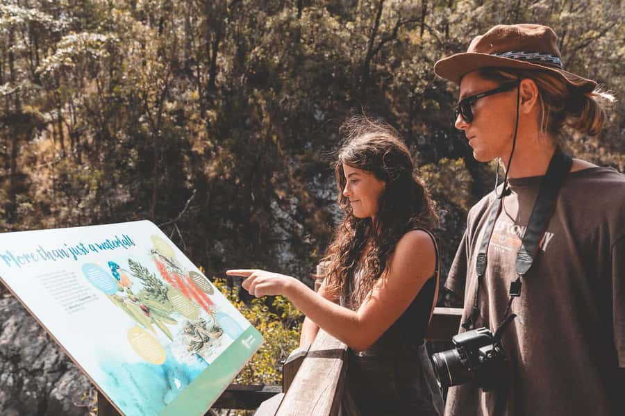 Brisbane: Rainforests, Waterfalls and Glow Worm Cave Tour - Cedar Creek Glow Worm Caves: what to expect (and how to enjoy it)
