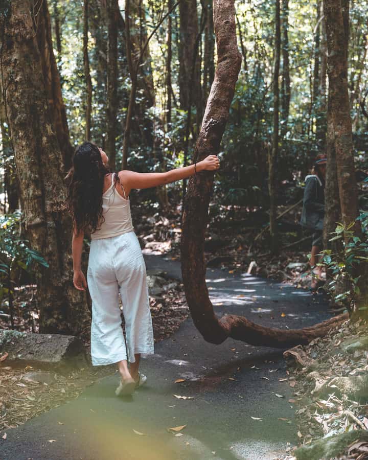 Brisbane: Rainforests, Waterfalls and Glow Worm Cave Tour - Gallery Walk at Tamborine: where lunch stops being boring