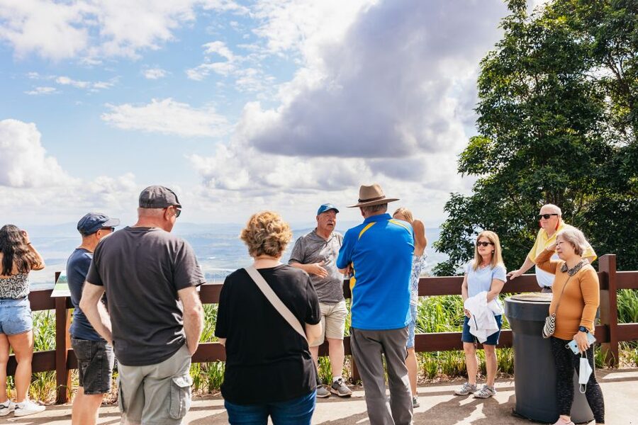 Brisbane: Rainforests, Waterfalls and Glow Worm Cave Tour - Springbrook National Park and Natural Bridge: the drama of basalt and rain