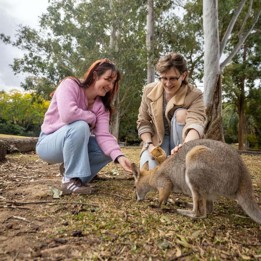 Brisbane River Cruise and Koala Sanctuary Visit - The animal mix at Lone Pine: koalas first, then the surprises