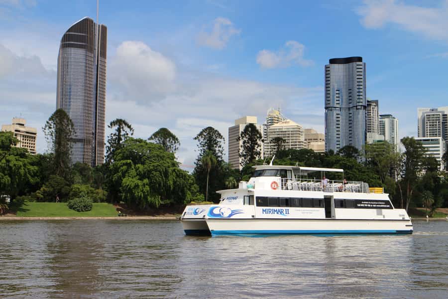 Brisbane River Cruise and Koala Sanctuary Visit - Hands-on moments: feeding kangaroos and wallabies (and what costs extra)