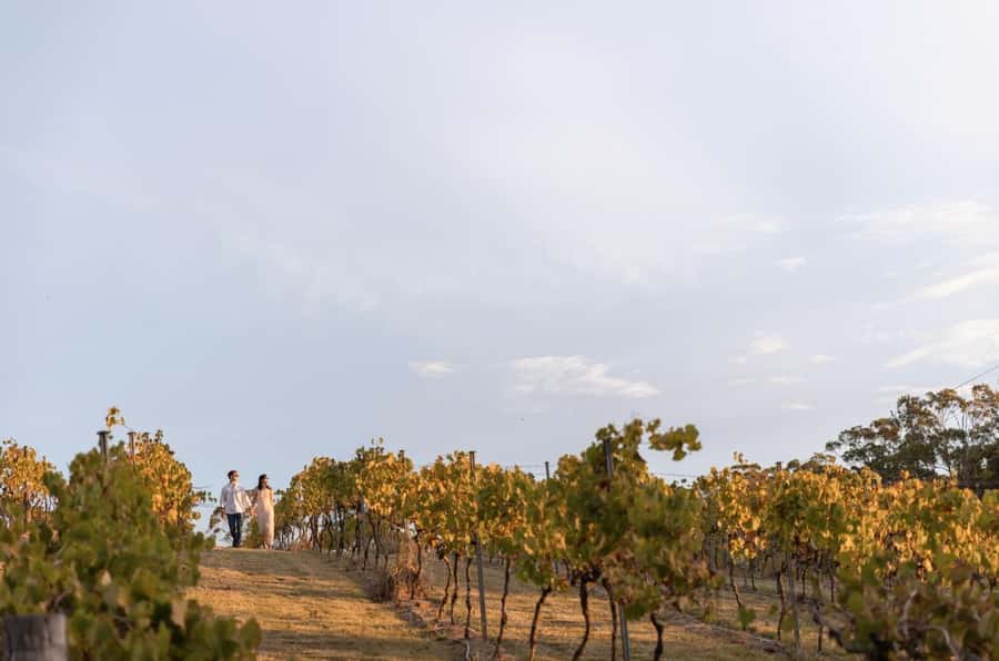 Brisbane: Sirromet Winery Tour with Tasting & 2-Course Lunch - Tips to get more from the tasting (without overthinking it)