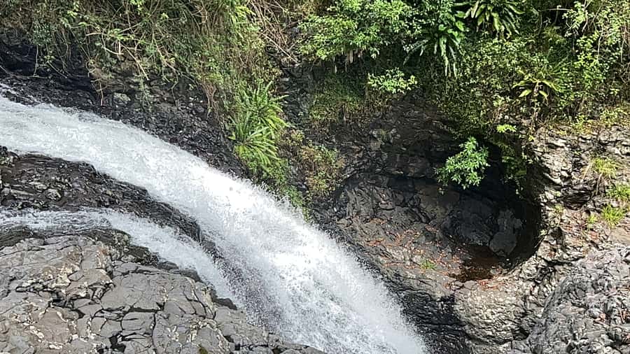 Brisbane: Springbrook and Mt Tamborine Glow Worm and Skywalk - Key highlights I’d actually plan around