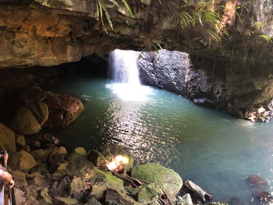 Brisbane: Springbrook and Mt Tamborine Glow Worm and Skywalk - Springbrook National Park: Natural Bridge with a walk that adds up