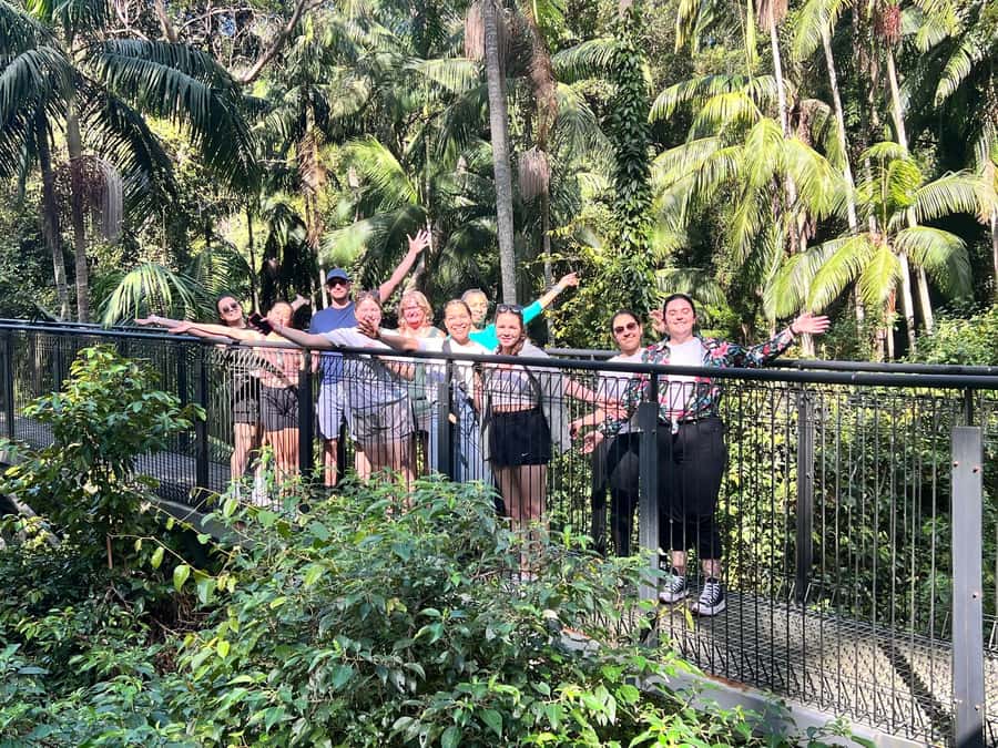 Brisbane: Springbrook and Mt Tamborine Glow Worm and Skywalk - Subway lunch plus Gallery Walk fudge and honey