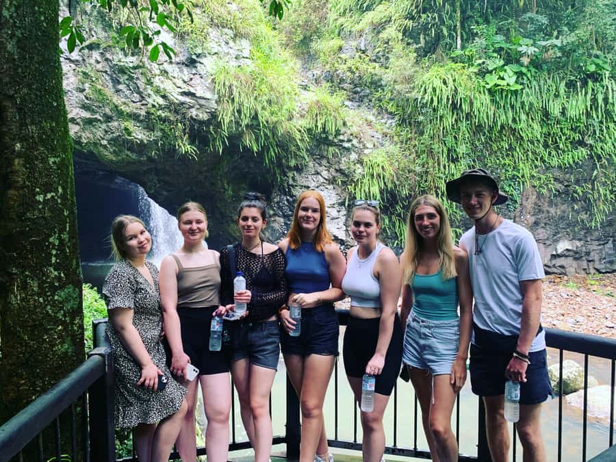 Brisbane: Springbrook and Mt Tamborine Glow Worm and Skywalk - Price and value: $159 for the tickets, transport, and food