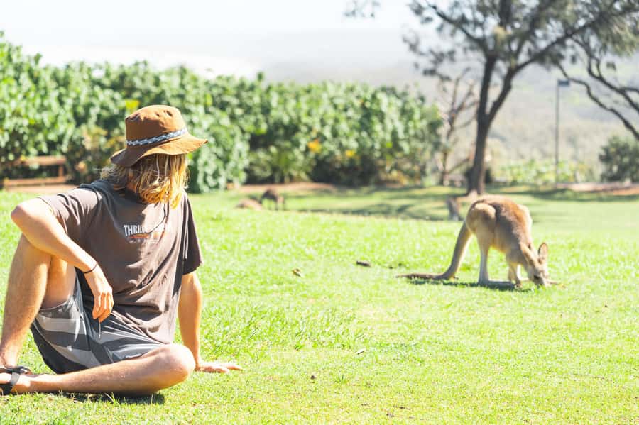 Brisbane: Stradbroke Island Eco Tour - Small Group, Full Day - The Big Picture: How the Day Flows