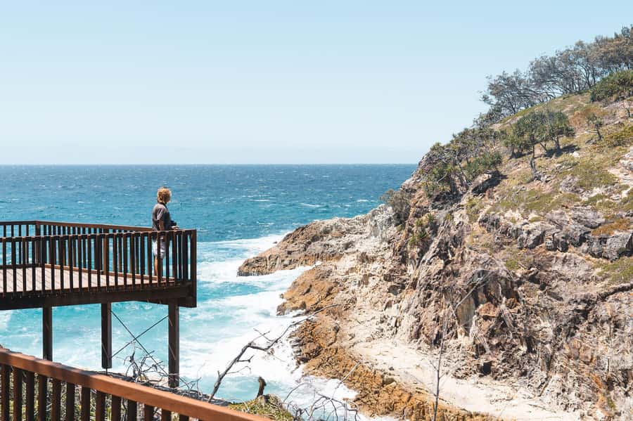 Brisbane: Stradbroke Island Eco Tour - Small Group, Full Day - Deadman’s Beach and Whales (May–Oct): Rugged Coast, Real Expectations