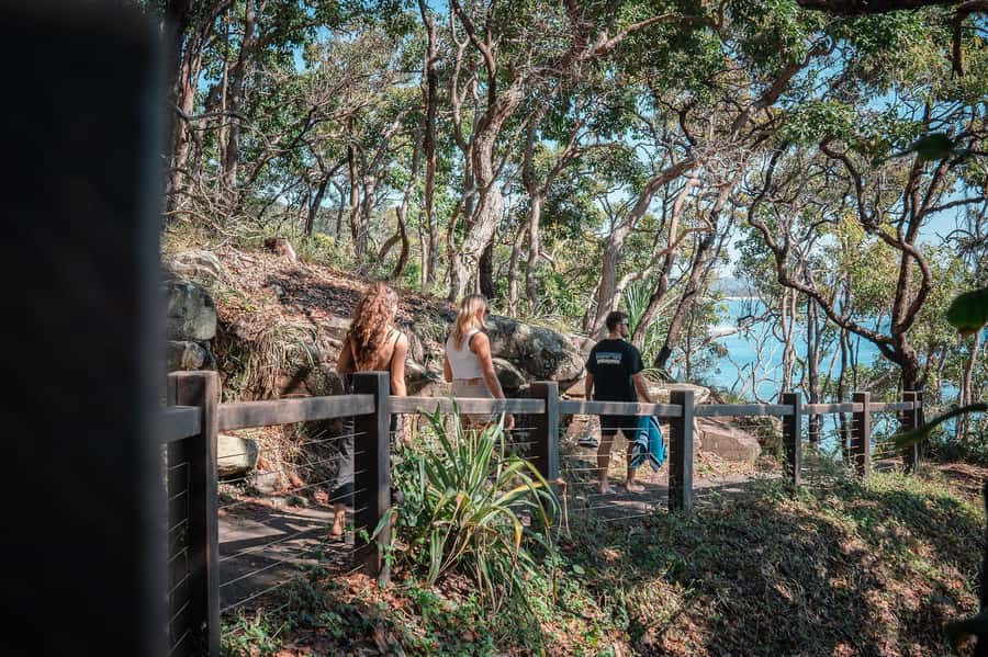 Brisbane: Sunshine Coast Hinterland & Noosa Scenic Tour - A Brisbane-to-the-coast day that doesn’t feel like a race