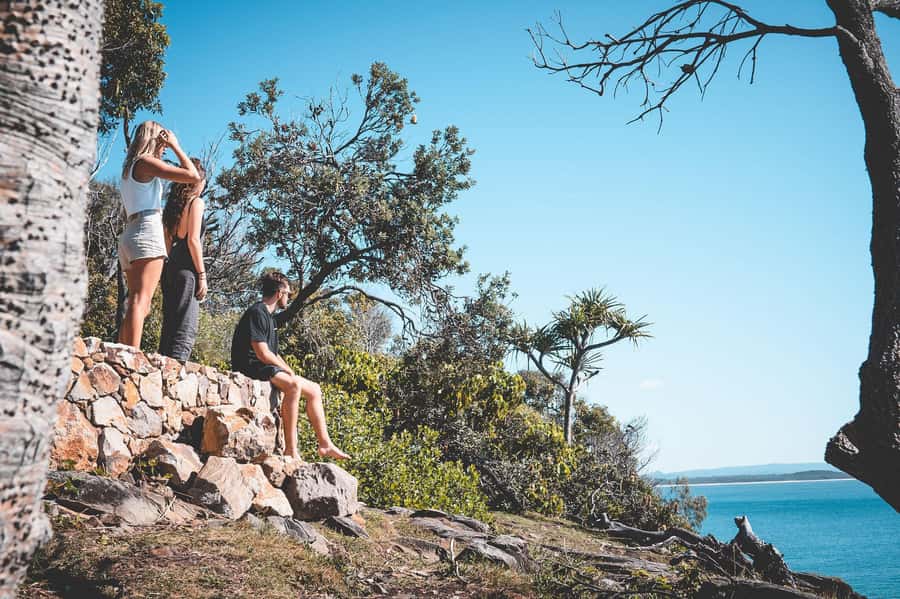 Brisbane: Sunshine Coast Hinterland & Noosa Scenic Tour - Timing and pacing: what can feel rushed