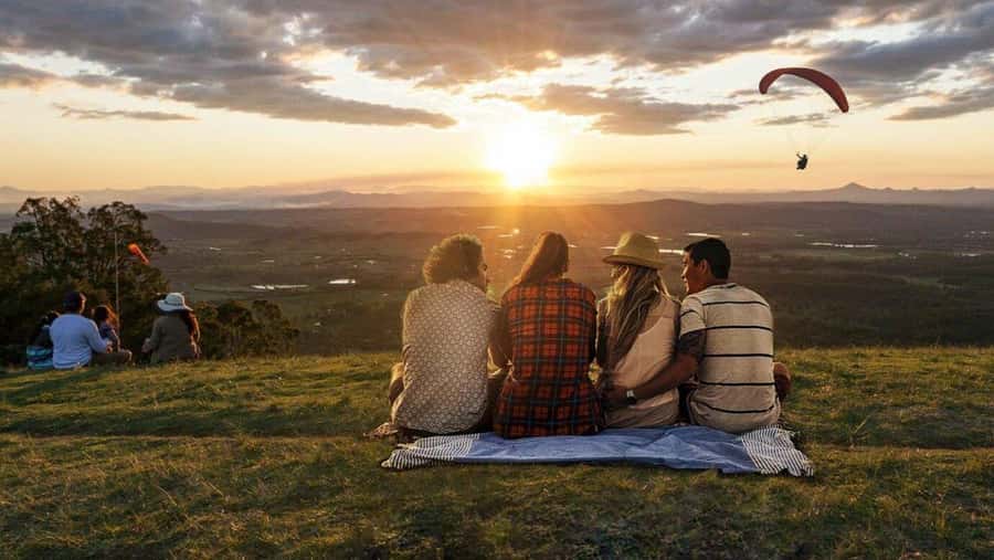 Brisbane: Tamborine Mountain Local Winery Tour with Lunch - Guides, Small-Group Energy, and What You’ll Feel on the Bus