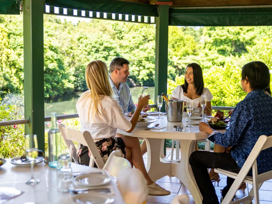 Brisbane: Tamborine Mountain Local Winery Tour with Lunch - Brisbane Pickup, Ride Comfort, and How the Day Actually Moves