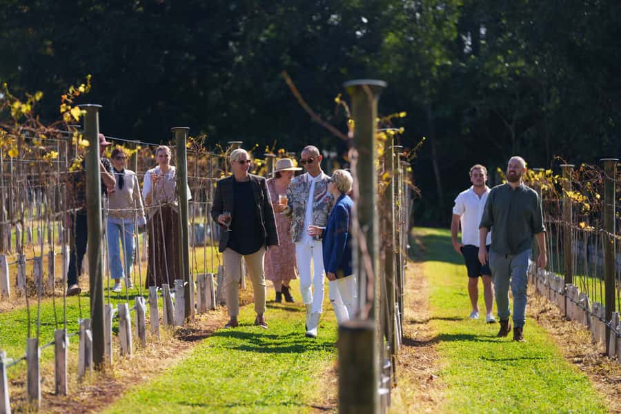 Brisbane: Tamborine Wine & Distillery Tour - Gallery Walk Free Time (Plus a Scenic Lookout)